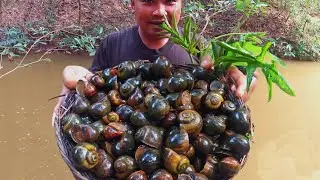Pick Vegetable And Snails At The River For Food! Fresh Snail Cooking For Dinner