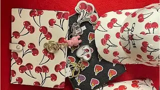 Coach Cherry Collection 2025🍒 reveal/haul