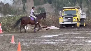 Video for mini edit comp