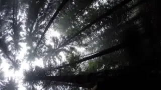 MTB - Singltrek FAIL- OTB POV