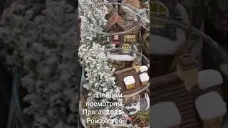 Прага 2025 пойдём посмотрим #рождество2025 #подарок #prague #v&aacute;noce #darky #flowers #merrychristmas