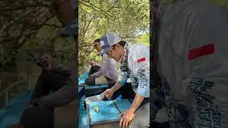 CARA MENDAPAKAT KOMPLOTAN IKAN🔥🔥‼️‼️#mancingdibali #spotmancingdibali #benoabali #babygt #fishing