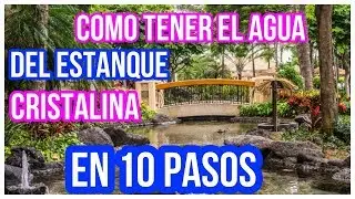 ❤️ESTANQUE DE AGUAS CRISTALINAS  ( muy f&aacute;cil en 10 pasos)
