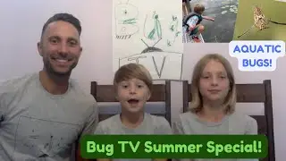Bug TV SUMMER SPECIAL: Let's learn all about aquatic insects! | Insect Learning Video for Kids