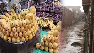 badi nahar ka pul And Train ka Bridge | bada bada pul dikhaiye | railway station farooq abad2023