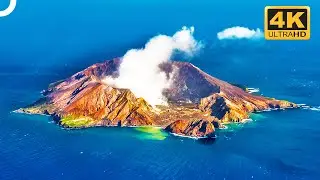 White Island: New Zealand's Only Active Marine Volcano | Miracles Of Nature | 4K Nature Documentary