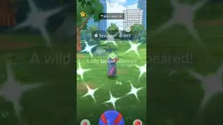 Insane Luck! Wild Shiny Seviper Pok&eacute;mon GO Catch 😱✨