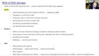 Oxidative stress in mitochondria with lipid peroxidation, dementia, Alzheimer, reative oxygen specie