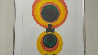 Museum de optometristas en Melbourne #newvideo #youtube #viralvideo #reels #melbourne #museum