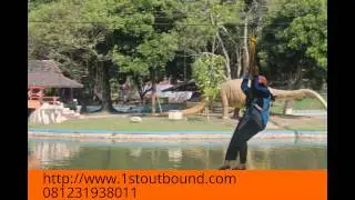 081231938011 , Jasa Outbound Malang , Jasa Outbound Surabaya  , www.1stoutbound.com