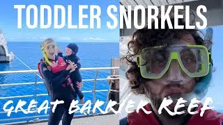 Snorkelling The Great Barrier Reef in Australia || Cruise Whitsundays Reef Tour
