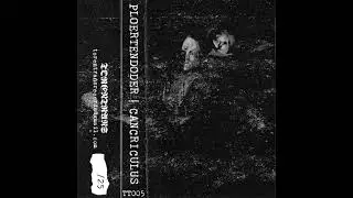 Ploertendoder / Cancriculus - Split (2018)