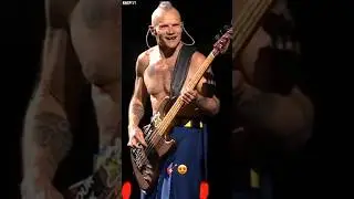 Do You Like Slap Bass? Flea Loves It! ❤️ #rhcp #redhotchilipeppers #live #shorts