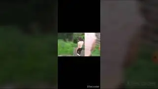 CHOCONCHA-JIPIJAPA-MANABI🌳