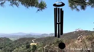10 Minutes of Mindful Breathing and Deep Relaxation with Peaceful Wind Chimes and Nature Scenery