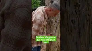 Dood hout is leven! #metselbijen in onze #moestuin