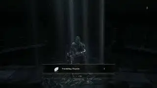 Dark Souls III - No Death Run (BG + DLC)