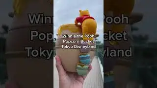 ADORABLE Winnie the Pooh Popcorn Bucket from Tokyo Disneyland