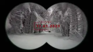 G&oacute;ra Borowa 853m - 2021