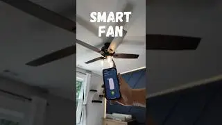 Tired of pulling chains to control your fan?  Upgrade to smart!