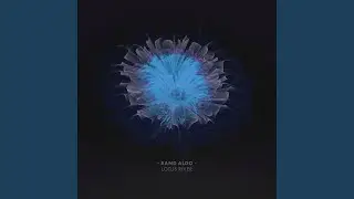 Spirit Solace