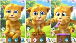 My Talking Ginger Unexpected Reaction 😱🔥My Talking Ginger Angry Mode 🤬🐱