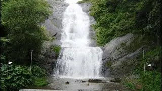 Silvercascadewaterfalls#silvercascadefalls #kodaikanal#tourism #waterfall #kodaidiaries #kodaitoday