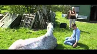 Pellworm: Die Pferdefl&uuml;sterin  (Haselmann)