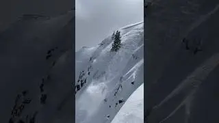 Classic wind loaded, slab avalanche in the Central Wasatch.