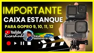 GoPro waterproof case for 9, 10, 11 and 12 inch cameras.
