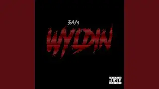 Wyldin'