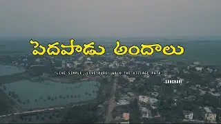 PEDAPADU అందాలు చూద్దాం రండి దాలు చూద్దాం రండి #sancharisnaps #village #sankranti #nature