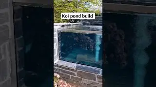 koi pond build with window  #koi #pondbuild #fibreglass #window