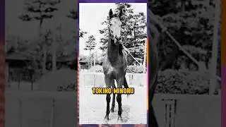 The Phantom Horse Tokino Minoru
