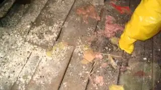 How to Remove Asbestos? Asbestos Removal Tips - Irvine CA