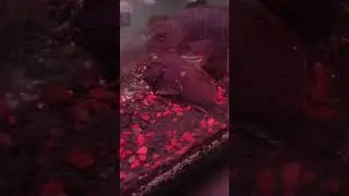 goby tetraroge/ goby banteng