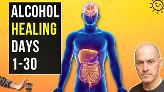 Alcohol Repair Days 1-30. What Actually Happens To Your Body When You Quit Drinking