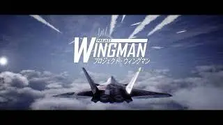 Project Wingman Mission 11 - Cold War (Mercenary)