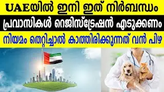 UAEയിൽ ഇനി ഇത് നിർബന്ധം പ്രവാസികൾ റെജിസ്ട്രേഷൻ എടുക്കണം നിയമം തെറ്റിച്ചാൽ കാത്തിരിക്കുന്നത് വൻ പിഴ