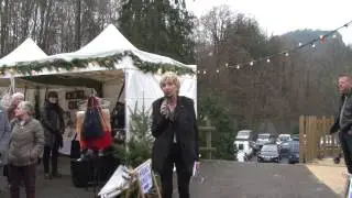 March&eacute; de No&euml;l Saint Paul en Cornillon - 2014