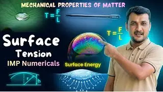 Surface Tension: Concept + IMP Numericals | Mechanical Properties of Fluids | 3-4 Marks Fix! 🎯