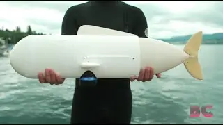Meet &lsquo;Eve&rsquo; the DNA-collecting robot fish