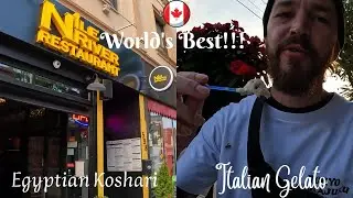 Trying Famous Italian Gelato in Little Italy Toronto! Travel Vlog 23 🇨🇦