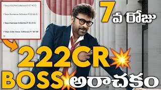 Mana Shankara Vara Prasad Garu Day 6 Worldwide Collections | Wise Box Office #megastar #collections 