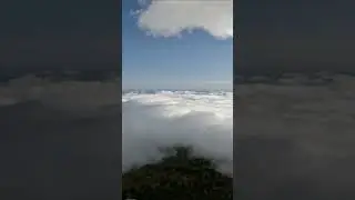 Above The Clouds! #grandfathermountain  #overlanding #sm1000 #blueridgeparkway