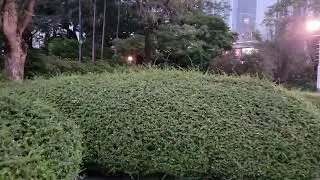 GameMaze