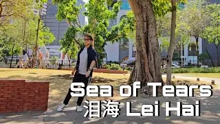 NEW DANCE & COUNT | Sea of Tears (泪海 Lei Hai) | LINE DANCE | Intermediate | HeruTian