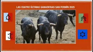 Así son los TOROS de los últimos encierros de San Fermín 2025:  🐂 Miura, Jandilla, Escolar...