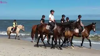 Hela&Tata - Wyjazd końmi na plażę!