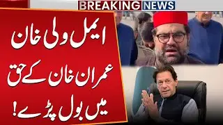 Aimal Wali Khan Speaks in Favor of Imran Khan | Unexpected Statement | Public News